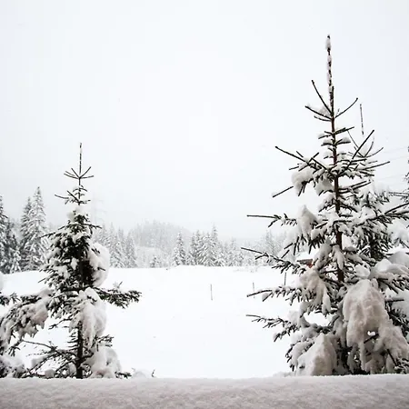 Сasa de vacaciones 174